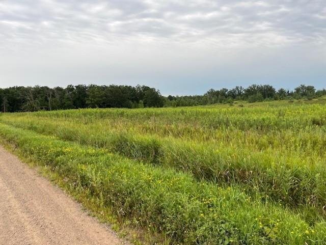 Land in Brook Park, Minnesota, United States 4 - 16073427