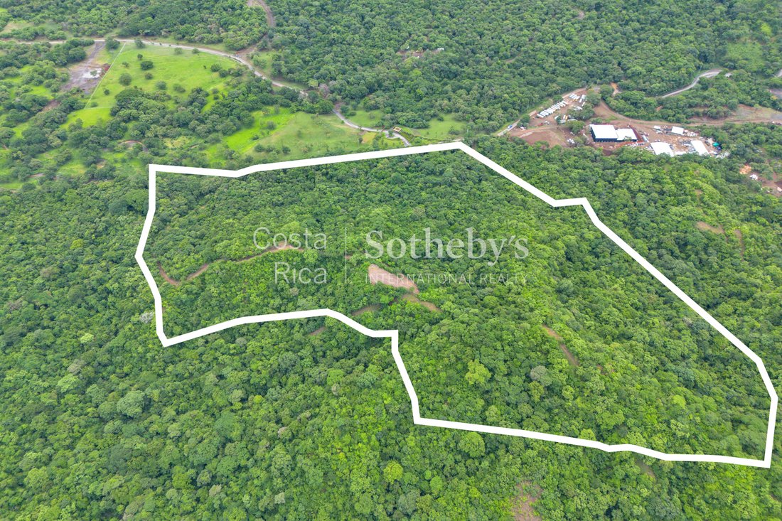 Farm Ranch in Carrillo, Carrillo, Costa Rica 4 - 16073418