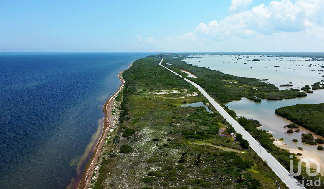 Land in Santa Clara, Yucatan, Mexico 4 - 16074321