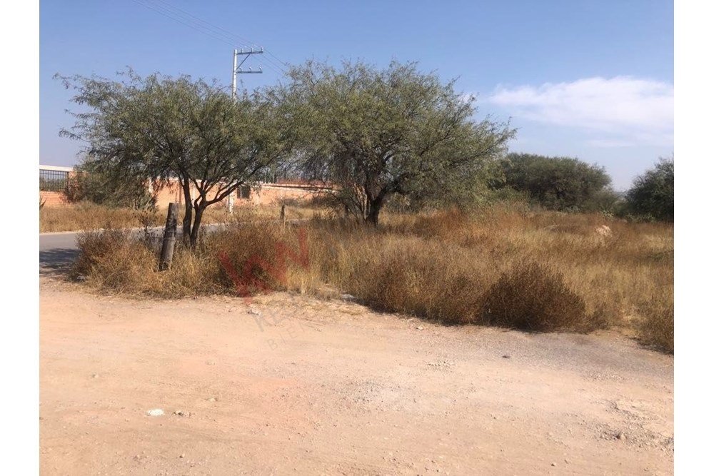 Land in San Nicolás de los Jassos, San Luis Potosi, Mexico 3 - 16076393
