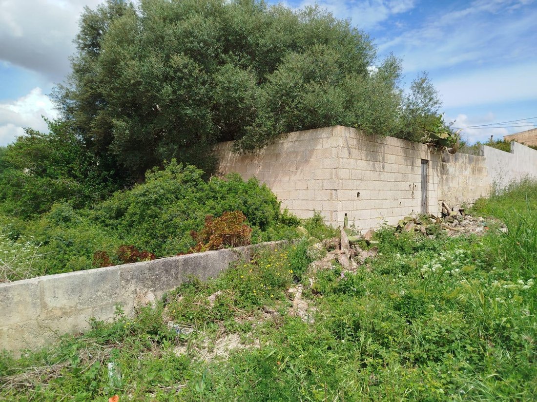 Land in Muro, Balearic Islands, Spain 5 - 16075547