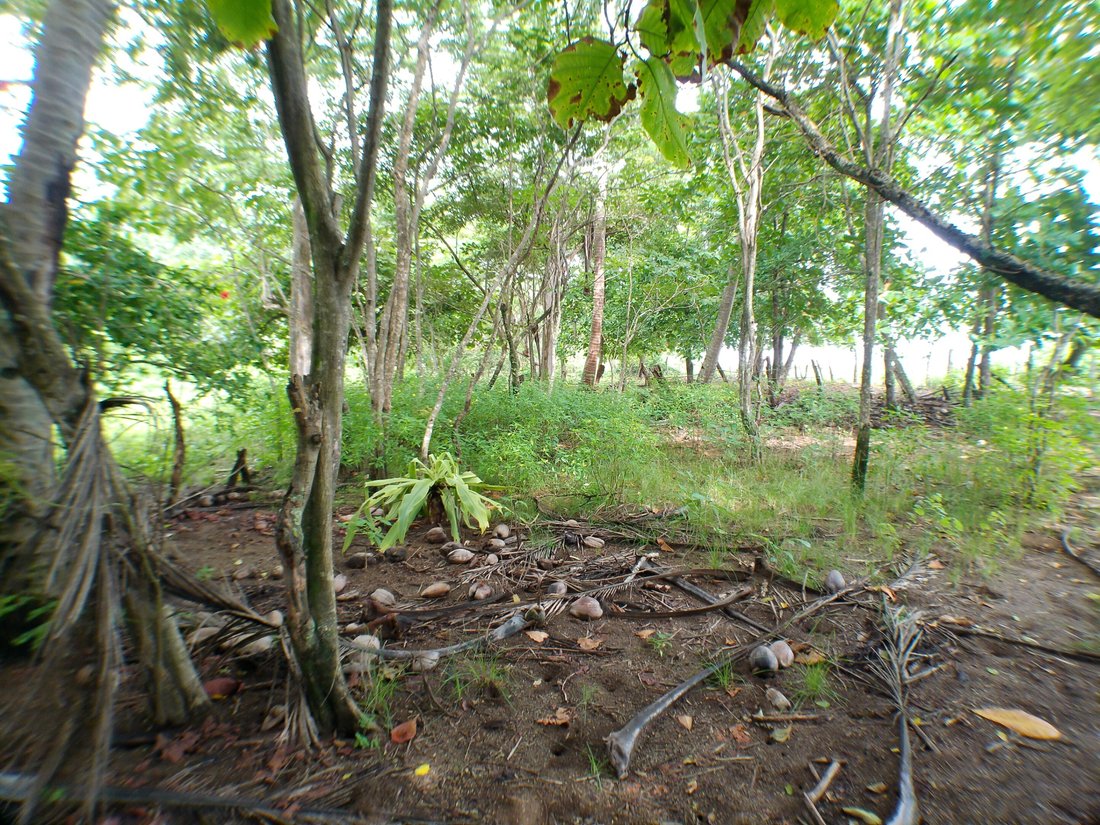 Land in Sámara, Guanacaste Province, Costa Rica 3 - 16075929