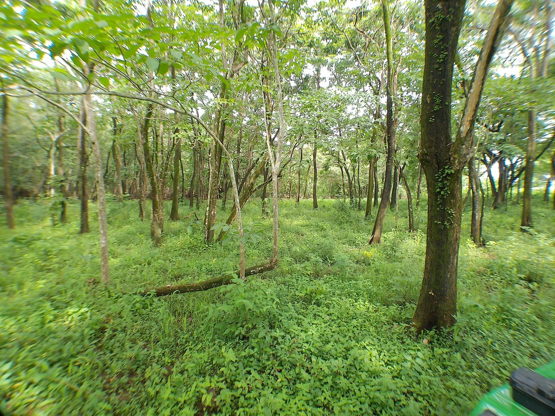 Land in Sámara, Guanacaste Province, Costa Rica 4 - 16075929