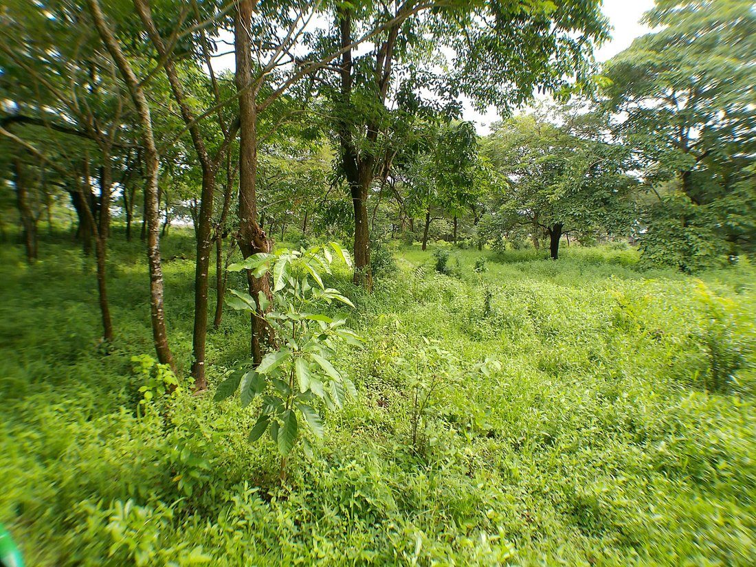 Land in Sámara, Guanacaste Province, Costa Rica 5 - 16075929