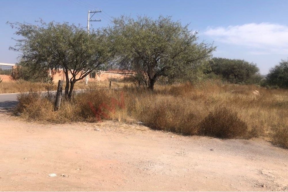 Land in San Nicolás de los Jassos, San Luis Potosi, Mexico 1 - 16076393