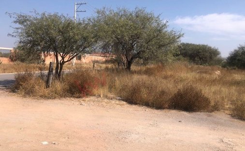 Land in San Nicolás de los Jassos, San Luis Potosi, Mexico 1