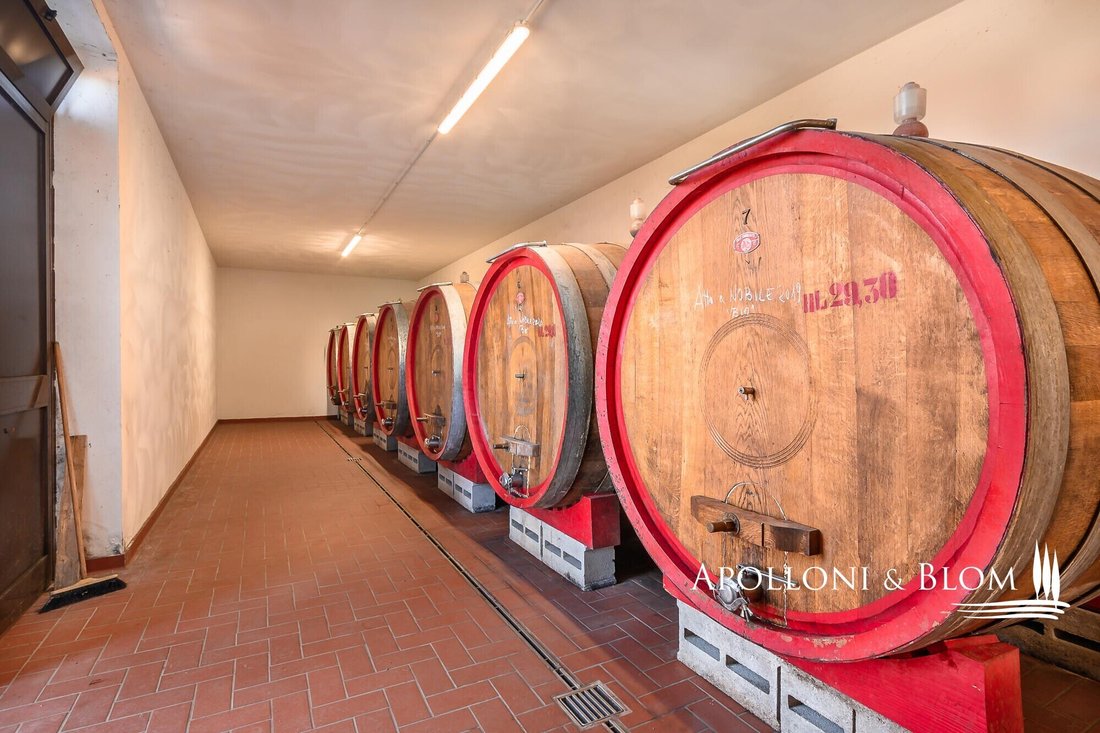 Montepulciano, Tuscany, Italy 3 - 12783693