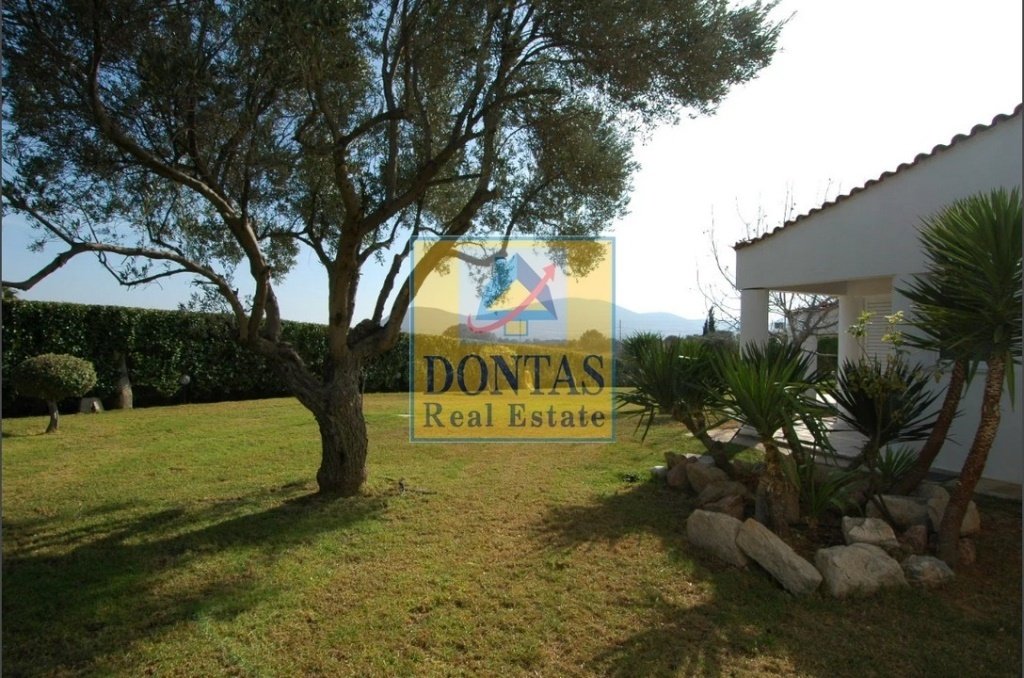 House in Markopoulo Mesogaias, Attica, Greece 2 - 16078507