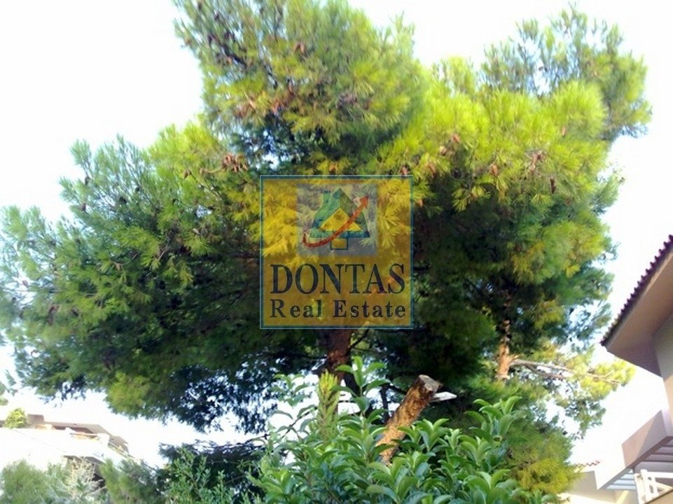 House in Kifisia, Attica, Greece 3 - 16078224
