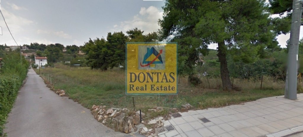 House in Dionysos, Attica, Greece 3 - 16078592