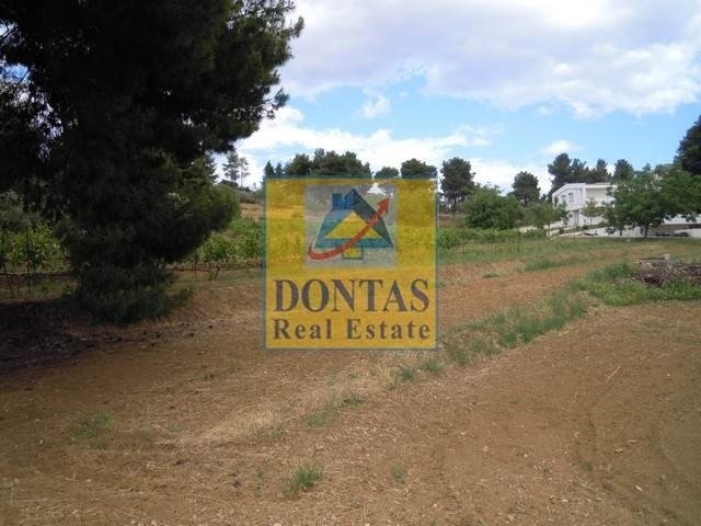 House in Dionysos, Attica, Greece 5 - 16078466