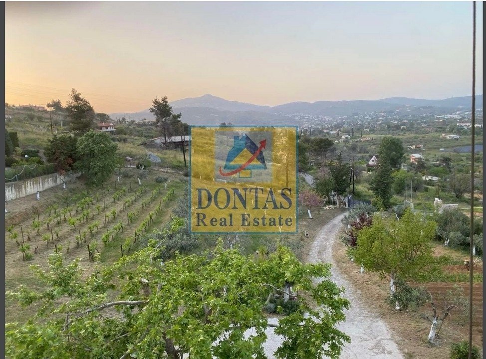 House in Oropos, Attica, Greece 5 - 16078312