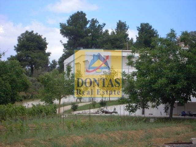 House in Dionysos, Attica, Greece 3 - 16078466