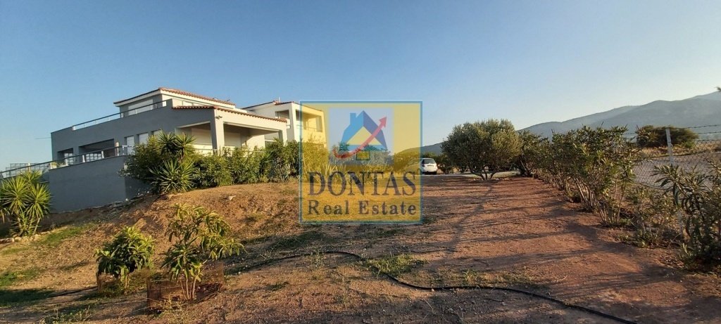 House in Salamina Community, Salamina, Greece 4 - 16078569
