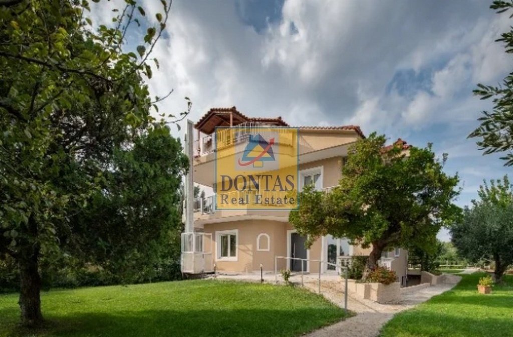 House in Kryoneri Municipal Unit, Attica, Greece 3 - 16078573