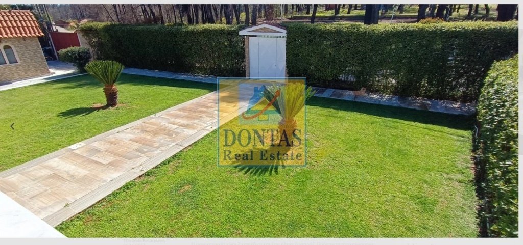 House in Oropos, Attica, Greece 5 - 16078257