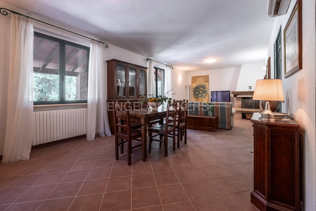 Farm Ranch in Magliano in Toscana, Tuscany, Italy 5 - 16079743