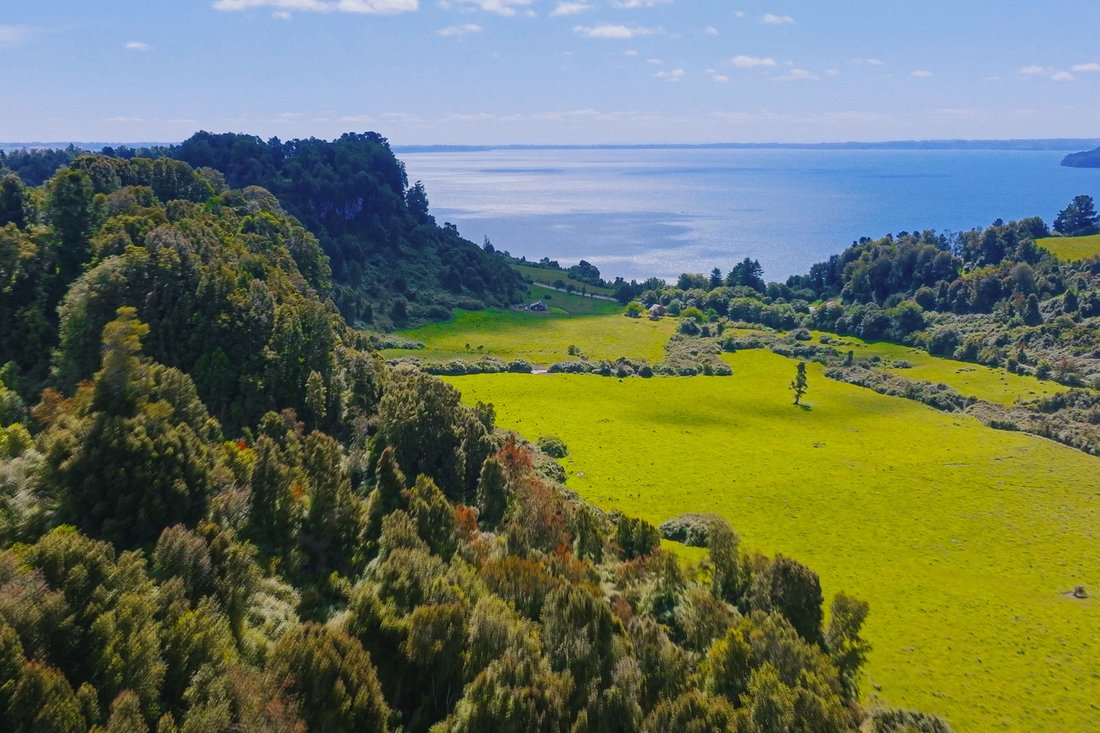 Land in Los Lagos, Chile 3 - 16091002