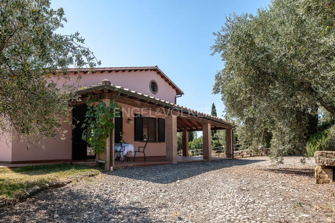 Farm Ranch in Magliano in Toscana, Tuscany, Italy 1 - 16079743