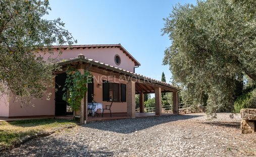 Azienda agricola a Magliano in Toscana, Toscana, Italia 1