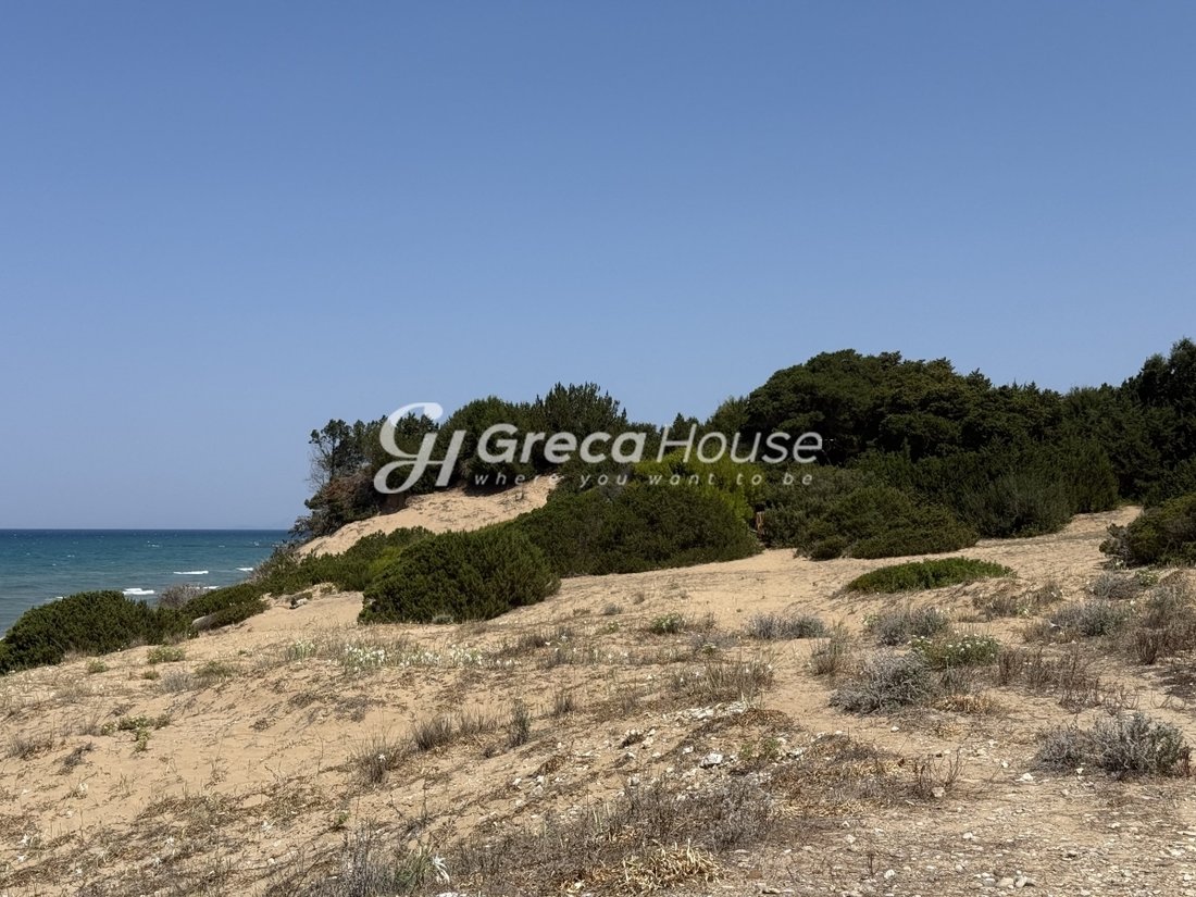 Land in Kastro - Kyllini, Peloponnese, Western Greece and the Ionian, Greece 5 - 16080880