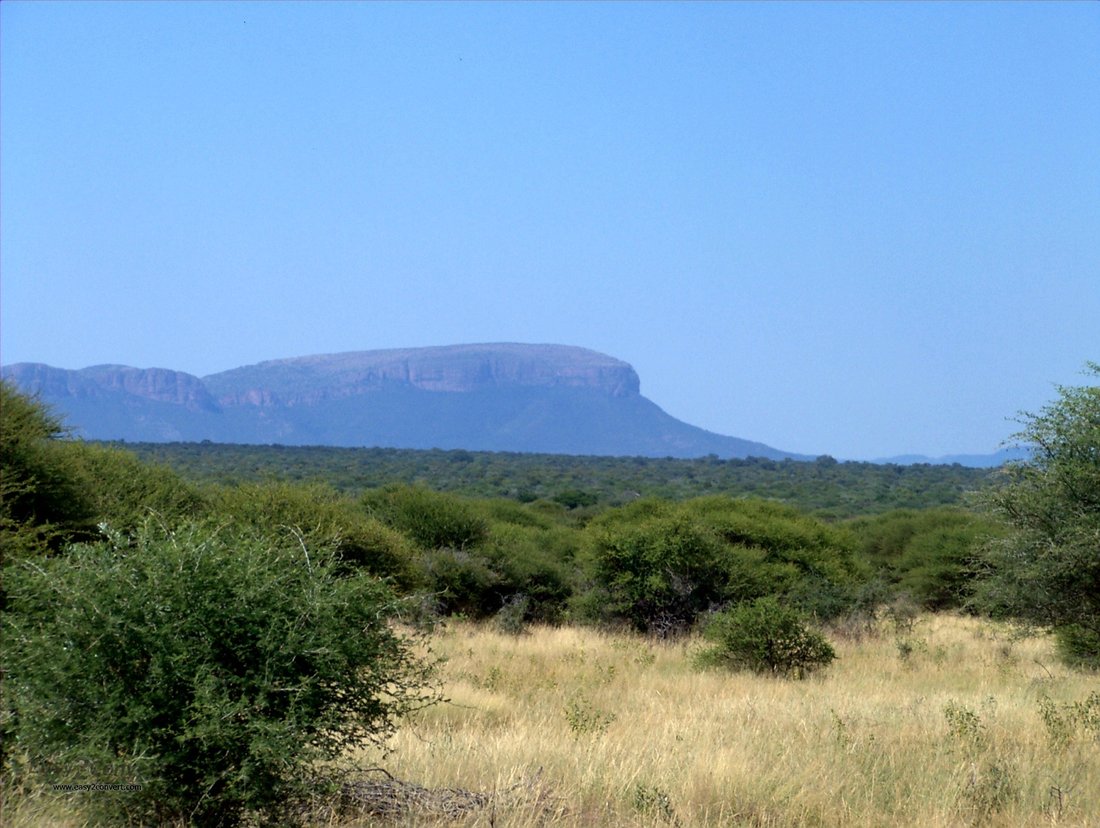 Farm Ranch in Thabazimbi, Limpopo, South Africa 1 - 16080286