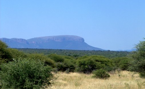 Farm Ranch in Thabazimbi, Limpopo, South Africa 1
