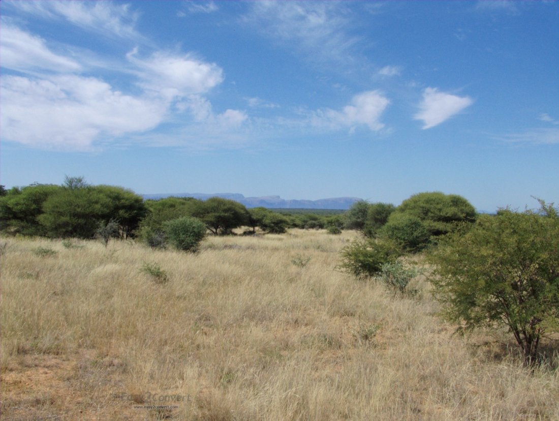 Farm Ranch in Thabazimbi, Limpopo, South Africa 2 - 16080286