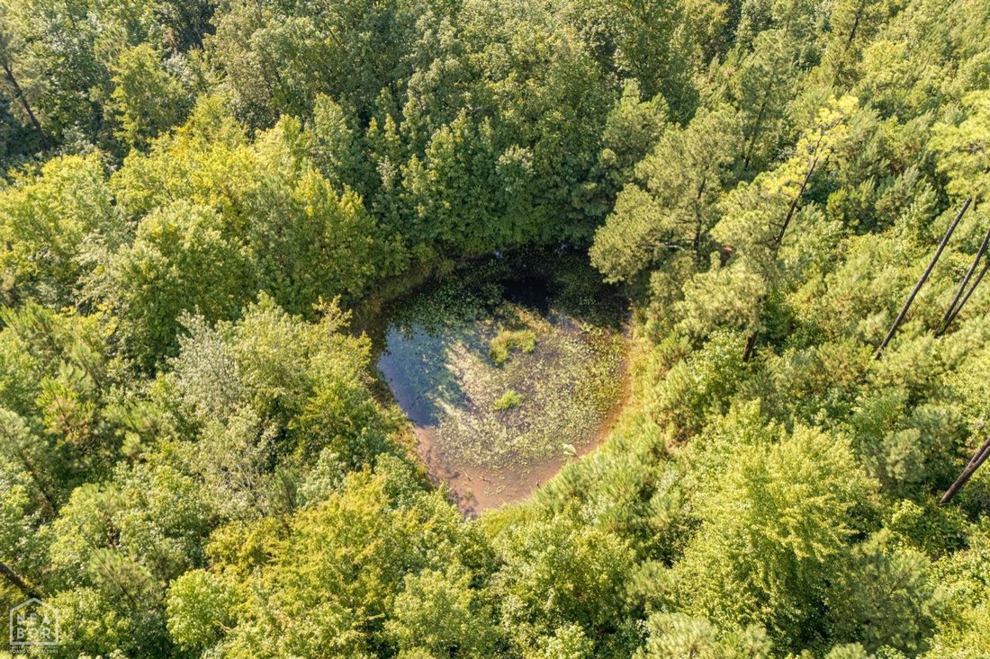 Land in Paragould, Arkansas, United States 4 - 16078793