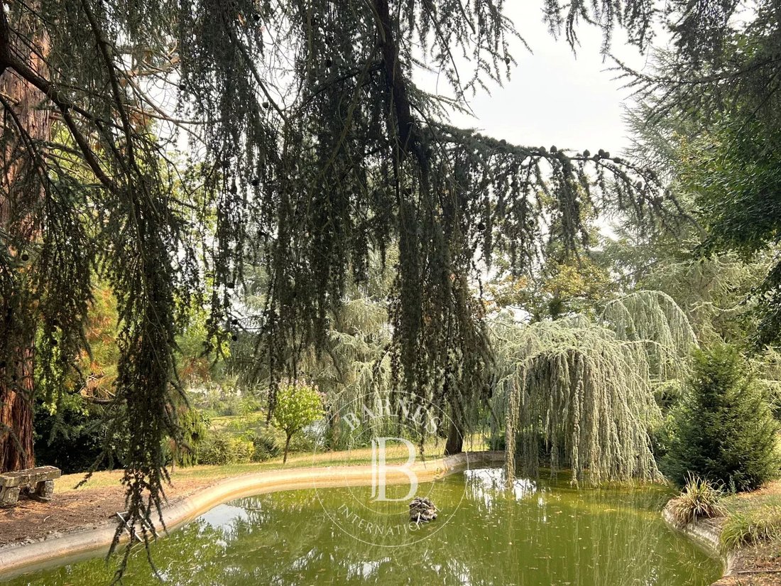 Estate in Veretz, Centre-Val de Loire, France 4 - 16079768