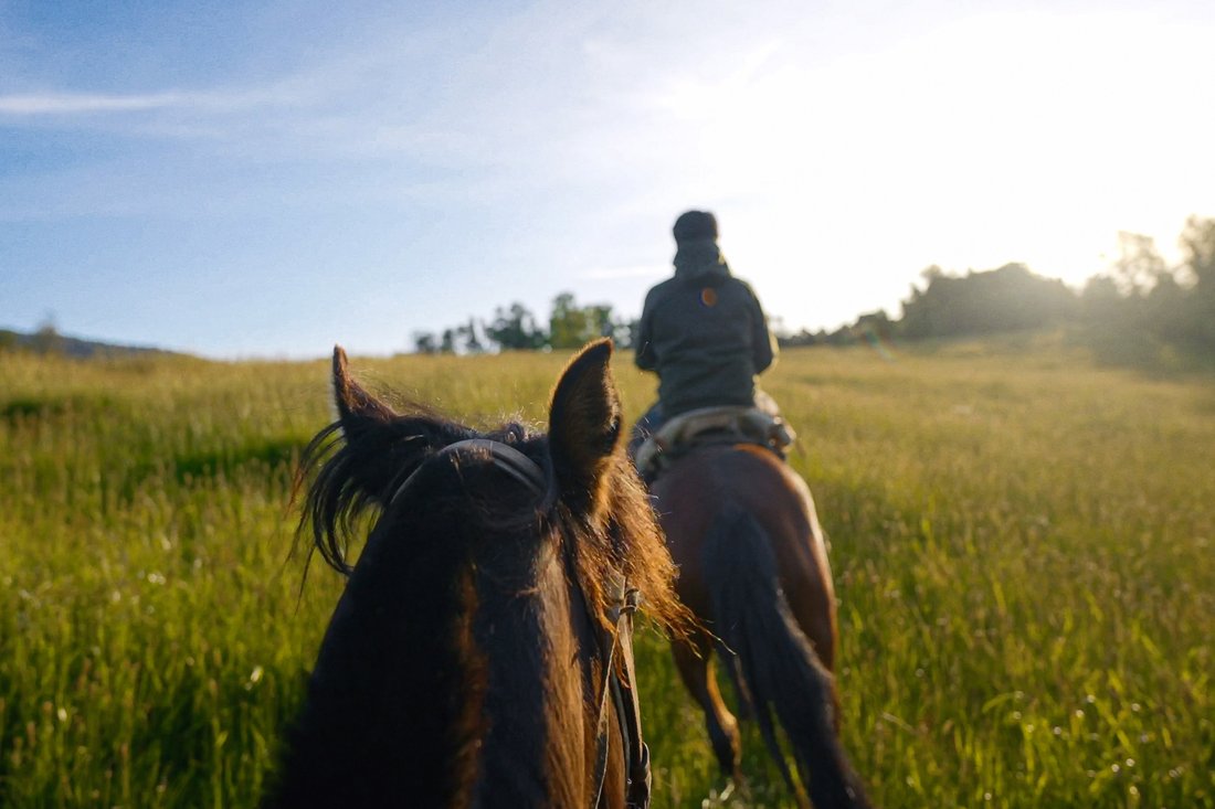 Land in Los Lagos, Chile 5 - 16091002