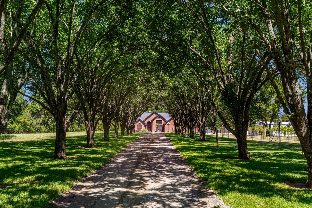 Farm Ranch in Mabank, Texas, United States 3 - 16081653