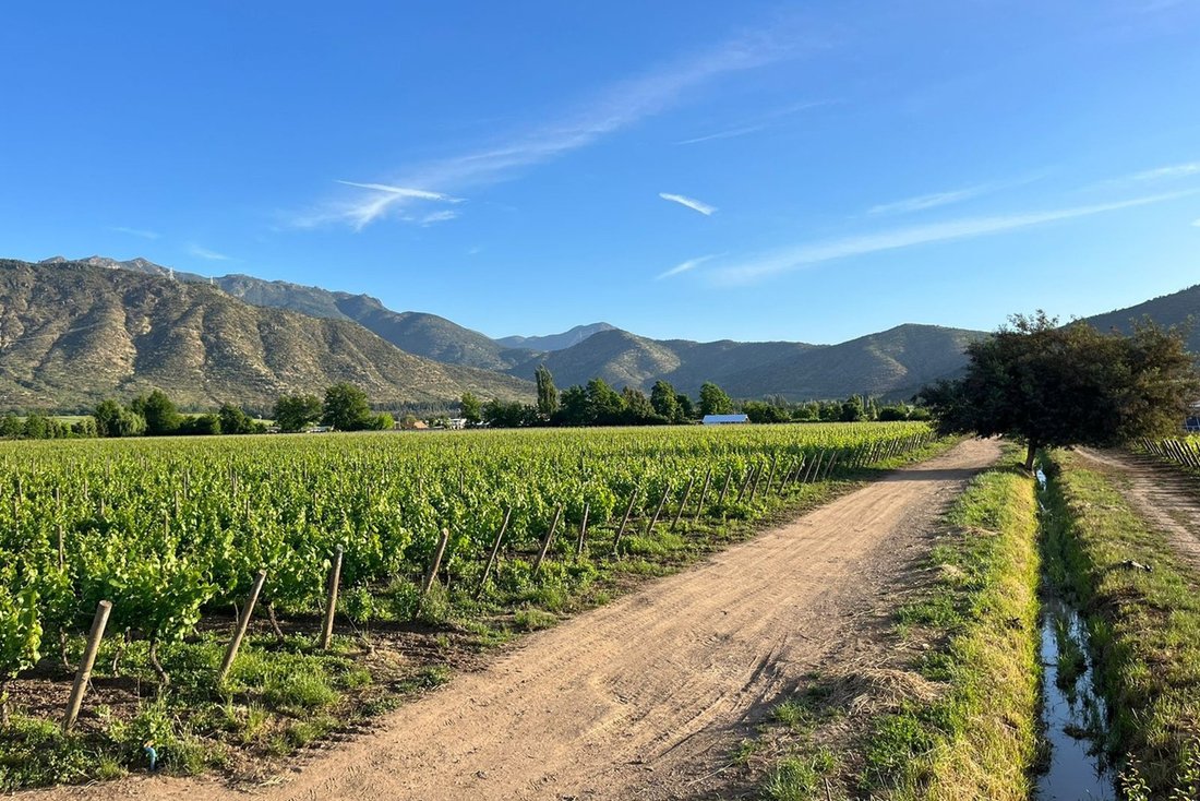 Farm Ranch in Rengo, O'Higgins, Chile 5 - 16082032