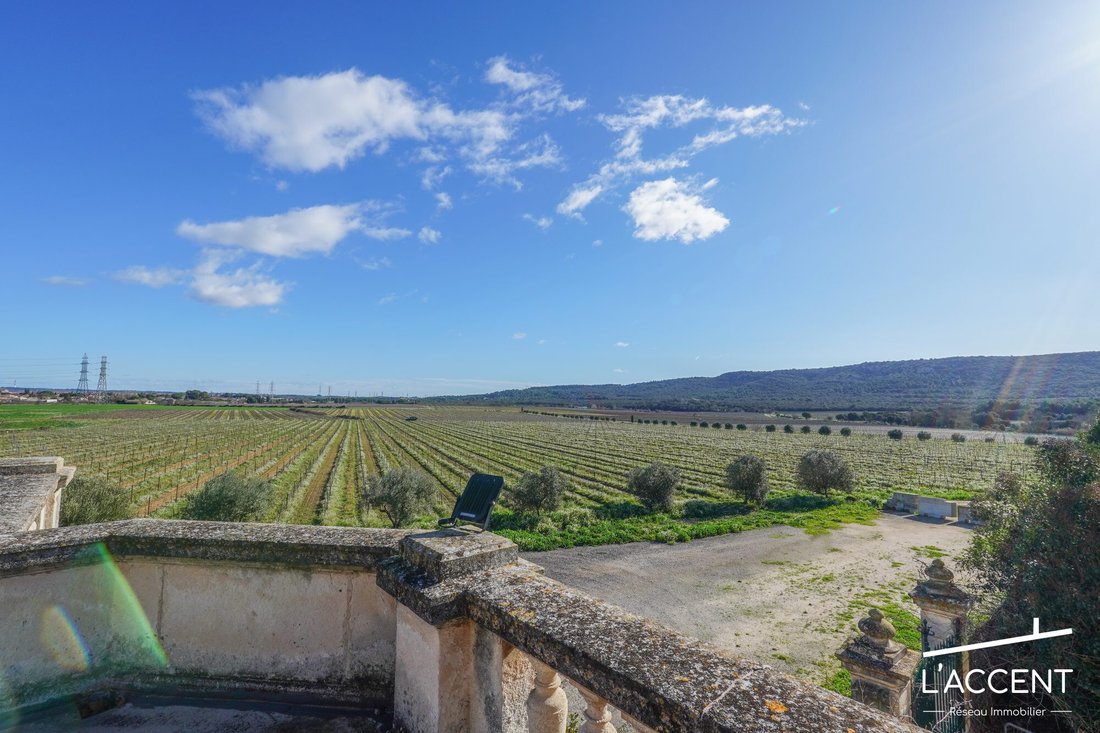 A Slumbering Vineyard Château Awaits Your Renaissance Near Montpellier