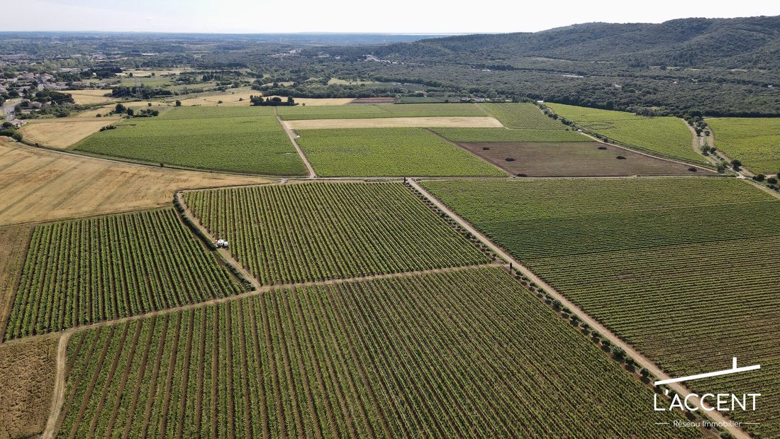 A Slumbering Vineyard Château Awaits Your Renaissance Near Montpellier