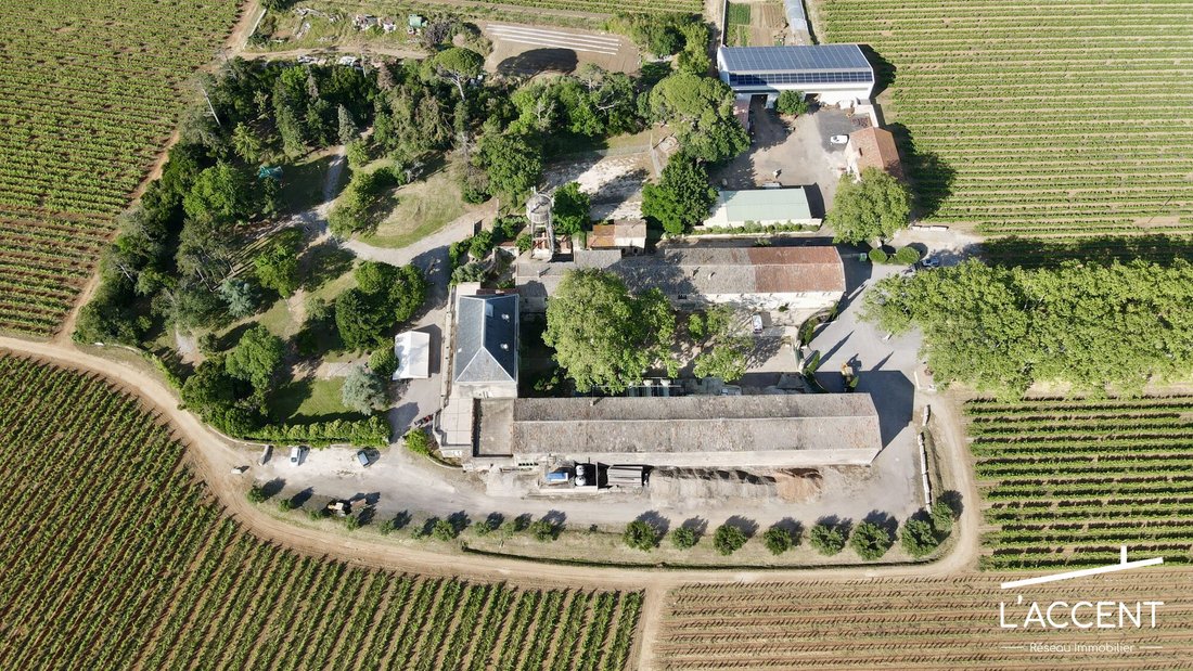 A Slumbering Vineyard Château Awaits Your Renaissance Near Montpellier