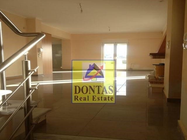 House in Marathonas, Attica, Greece 4 - 16083378