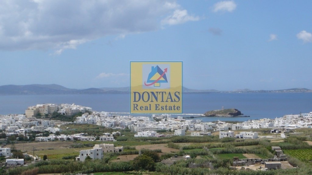 House in Naxos, Aegean, Greece 5 - 16083373