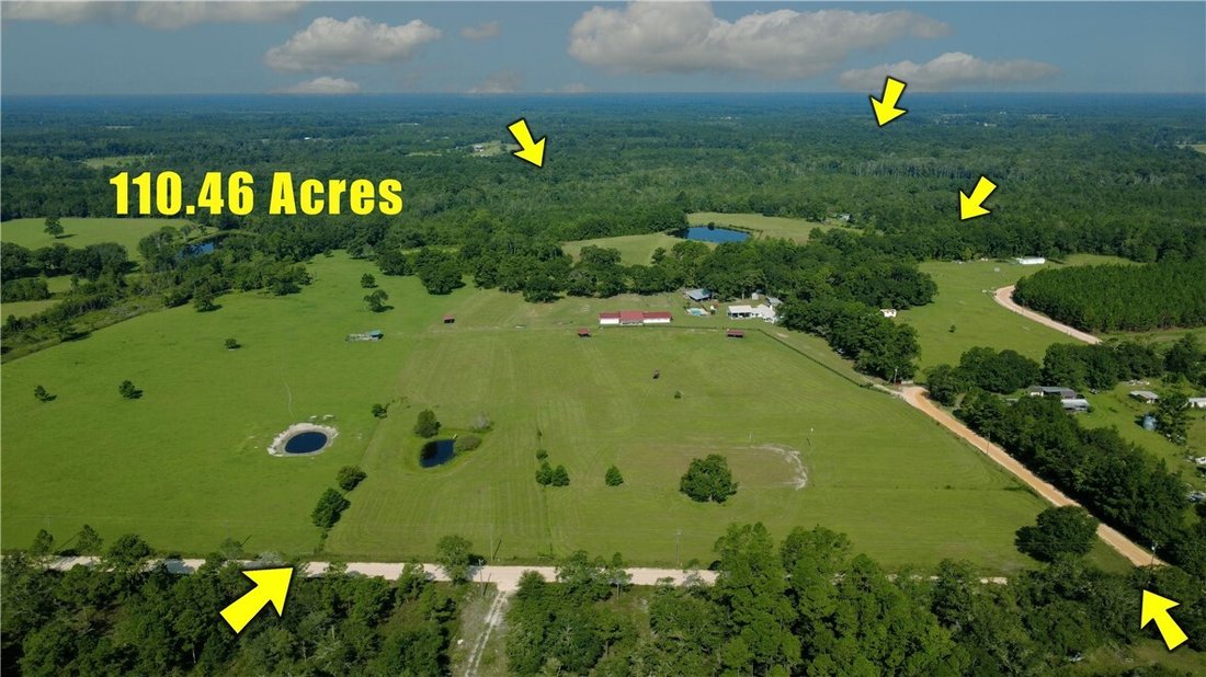 House in Nahunta, Georgia, United States 1 - 16082674