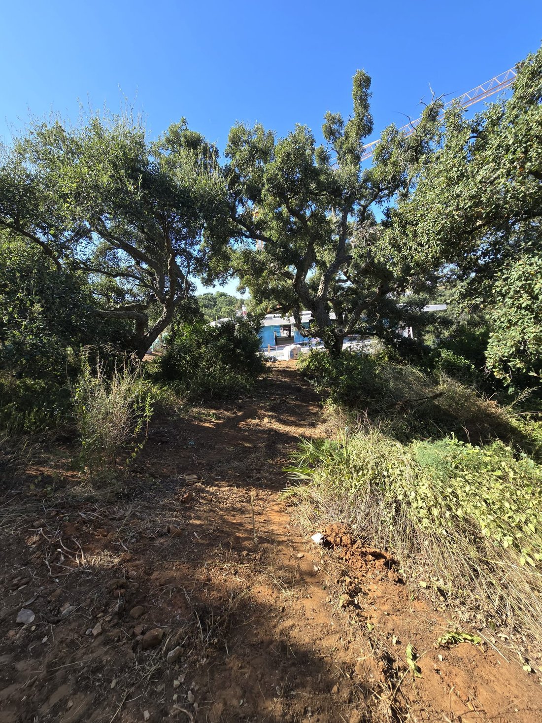 Land in Sotogrande, San Roque, Andalusia 3 - 12574055
