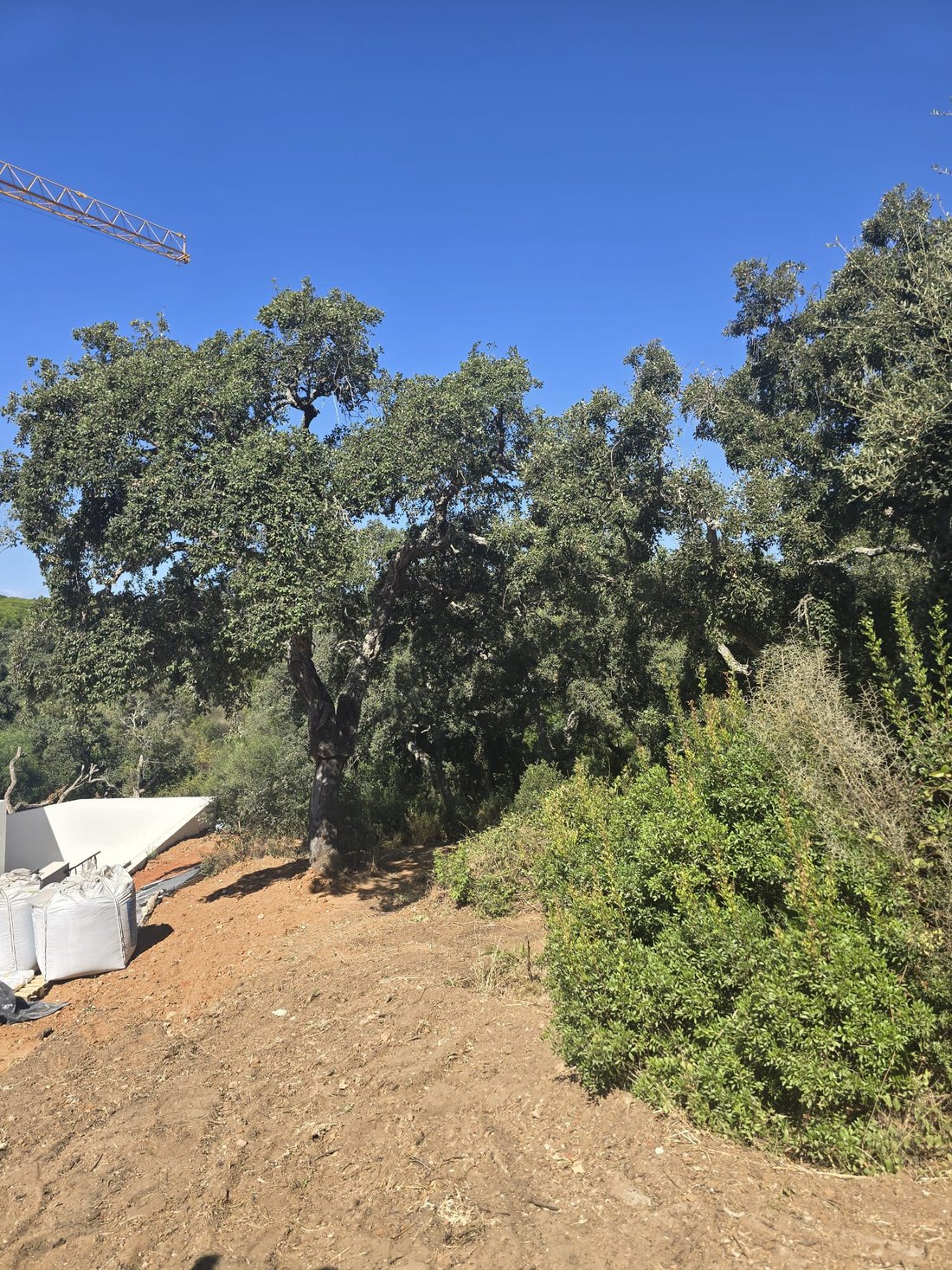 Land in Sotogrande, San Roque, Andalusia 2 - 12574055