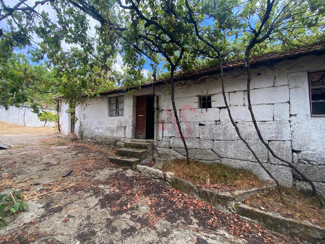 Farm Ranch in Silvares, Pias, Nogueira e Alvarenga, Porto District, Portugal 3 - 16002544