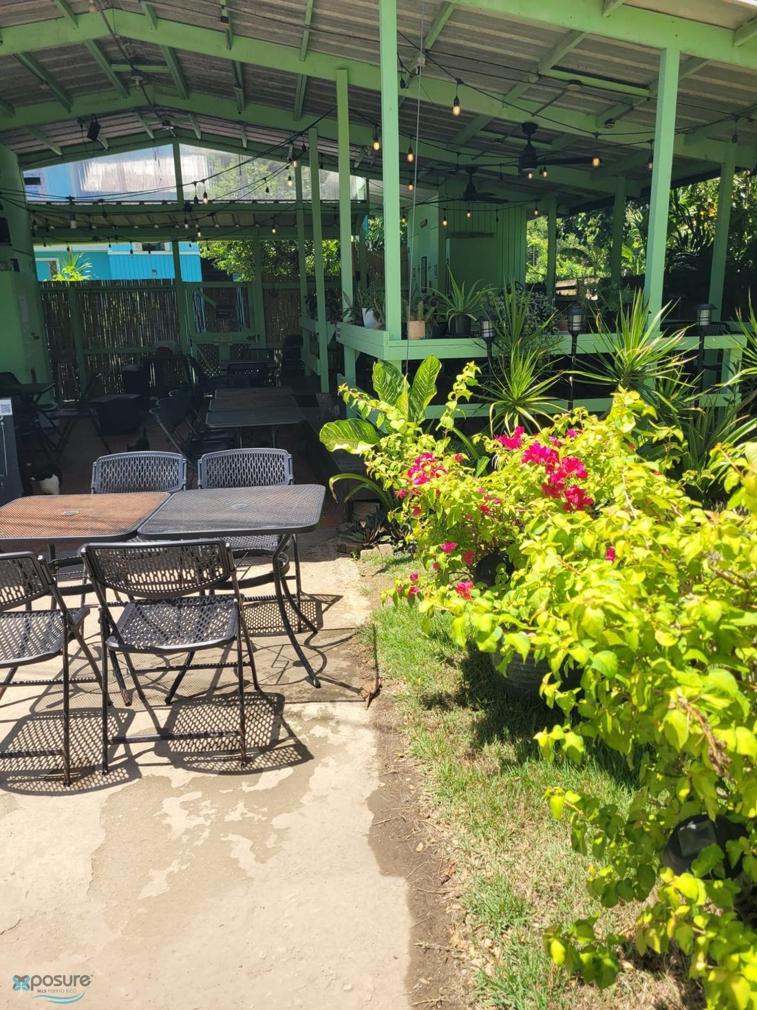 House in Mora, Isabela, Puerto Rico 5 - 16087949