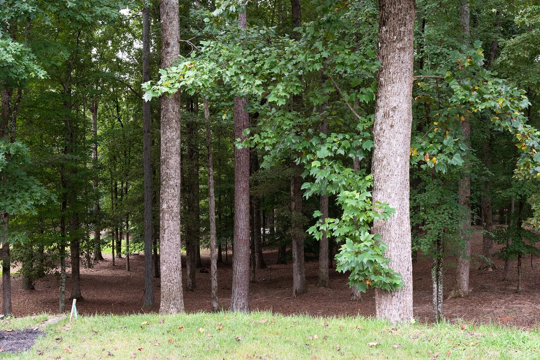 Land in Milton, Georgia, United States 5 - 16087691
