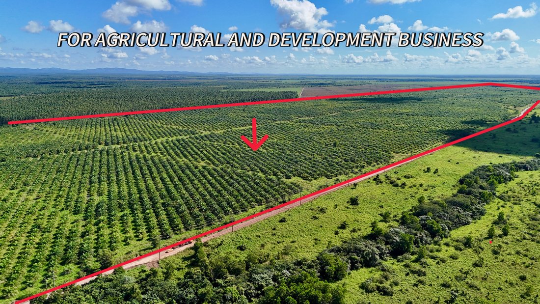 Land in Santo Domingo, Distrito Nacional, Dominican Republic 2 - 16090219