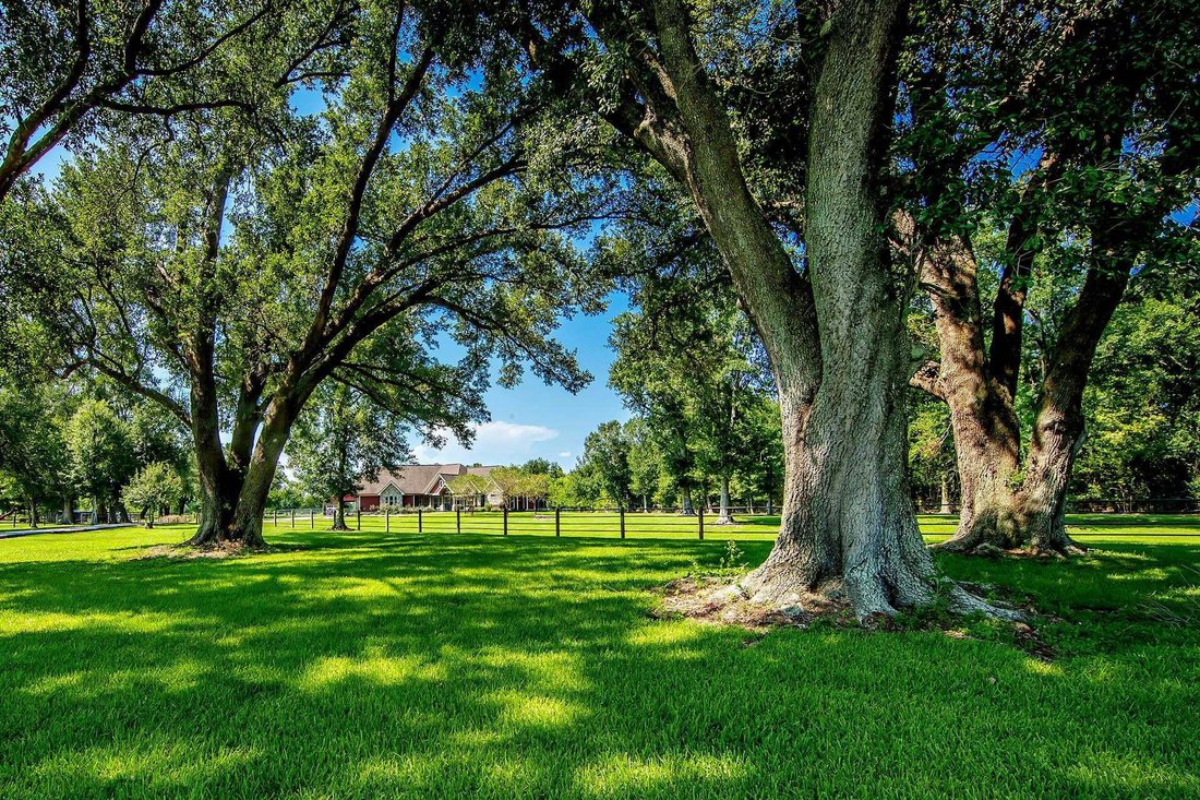 House in Larose, Louisiana, United States 2 - 16085906