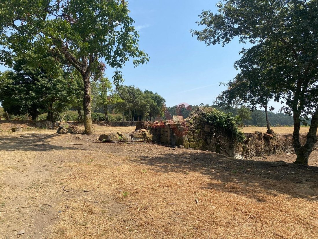Farm Ranch in Raimonda, Porto District, Portugal 4 - 16049303