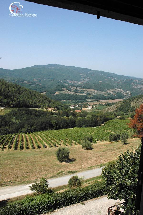 Land in Dicomano, Tuscany, Italy 5 - 16090362