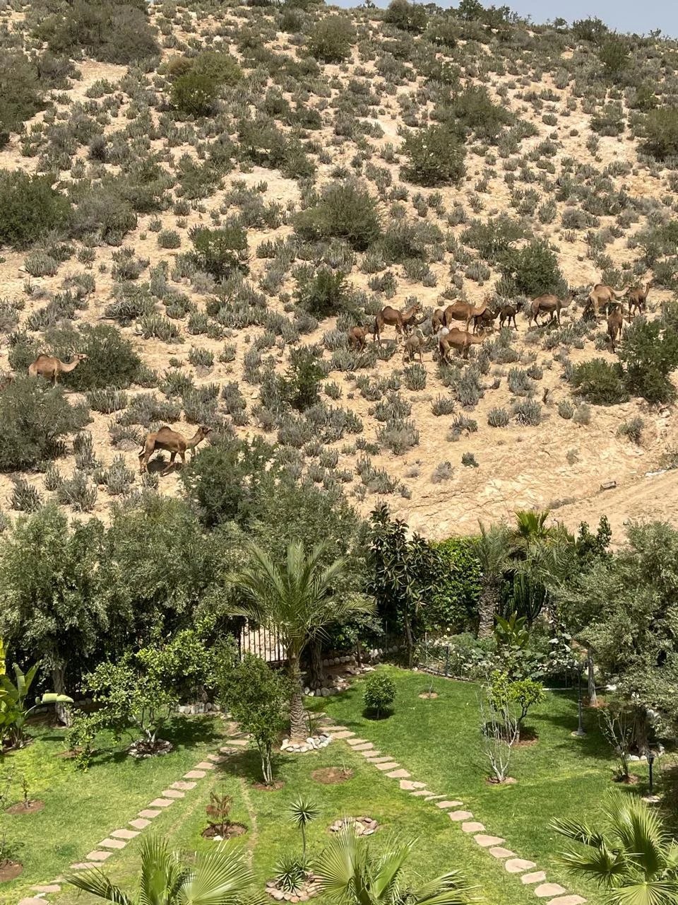 Villa à Inezgane, Souss-Massa-Draâ, Maroc 2 - 16087878