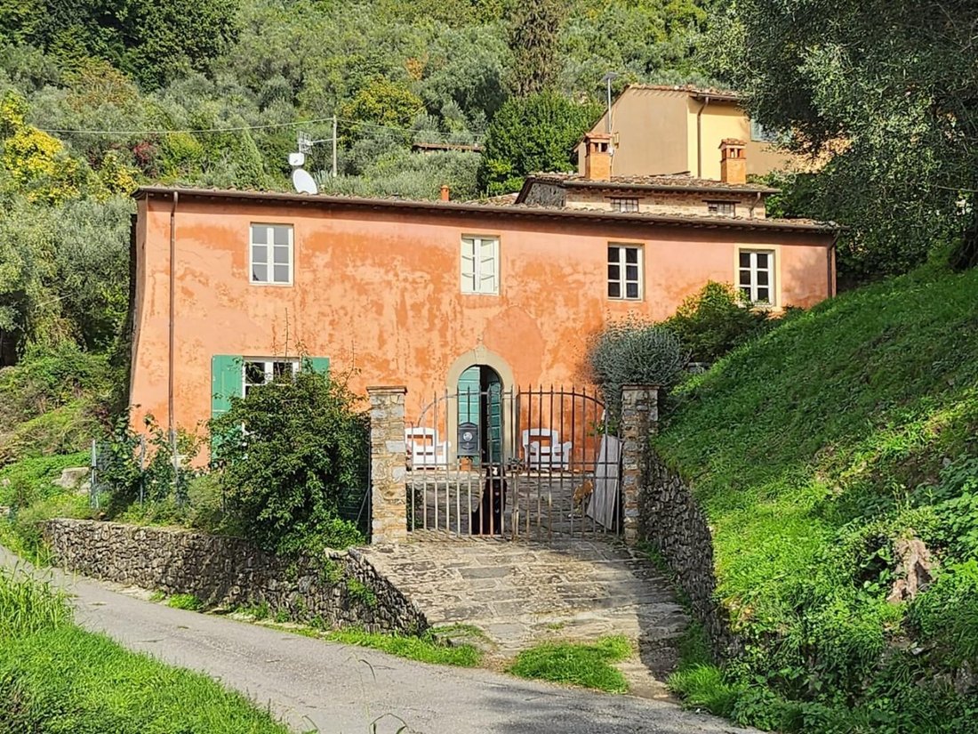 Area Monte San Quirico - Sant'Alessio, Lucca, Tuscany 1 - 16085139